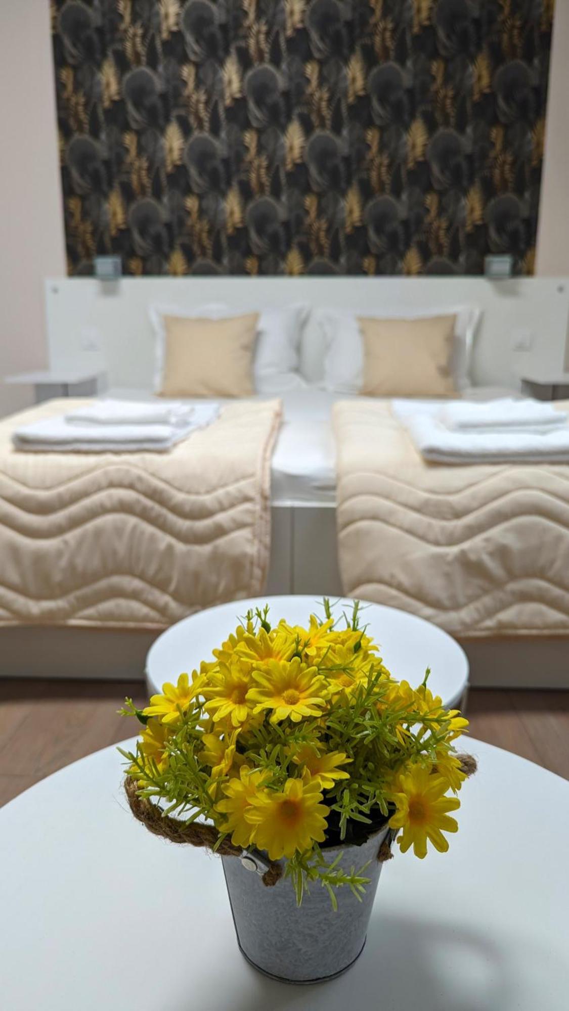 Apartmani Tomic Kladovo Exterior photo